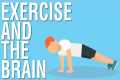 EXERCISE AND THE BRAIN - SPARK BY