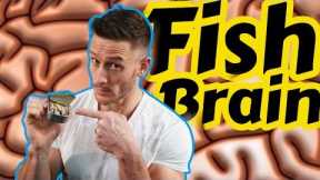 The Super Fish Oil that Beats all Others [Fish eggs?]