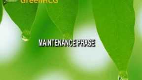 3 Phases Of HCG Diet Plan -- Discover The Truth About Loading,   Maintenance & Stabilization Phase