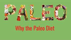 Why the Paleo Diet | 30 Day Paleo Guide
