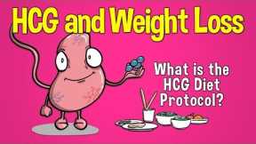 HCG and Weight Loss: What is the HCG Diet Protocol?