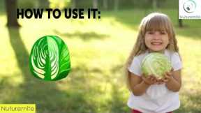 25 Health benefits of this fabulous vegetable Gobi (World Healthiest food Cabbage)- Nuturemite