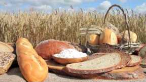Foods to Avoid on The Paleo Diet - Grains