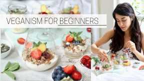 BEGINNER'S GUIDE TO VEGANISM » how to go vegan