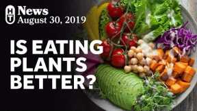 New Research On Plant-Based Diets and Mortality