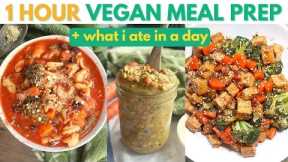 1 HOUR VEGAN MEAL PREP FOR WEIGHT LOSS when JET LAGGED (VLOG) + What I Ate in a Day as a VEGAN